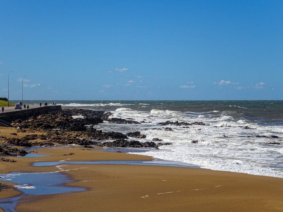 Puente de la Barra wave bridge in Punta del Este Uruguay